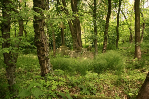 Stary cmentarz w Kadłubie