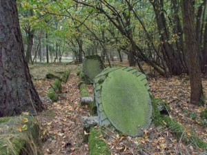 leśny cmentarz