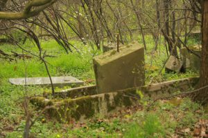 stary cmentarz - Ogrodnica