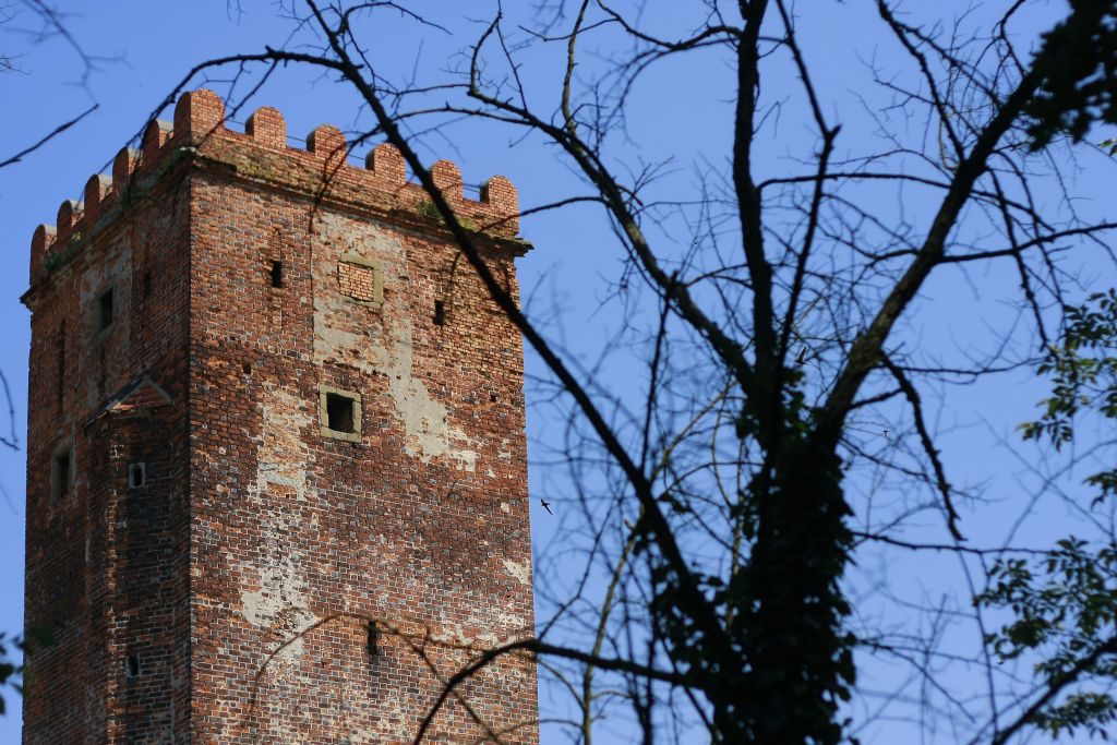 zamek w Prochowicach