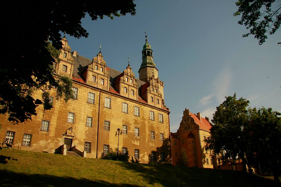 zamek w Oleśnicy