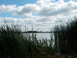 Jezioro Kunickie