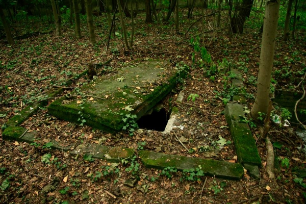 stary cmentarz w Goszczu