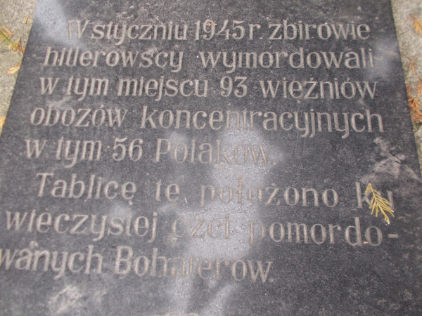 Dziewięćdziesięciu trzech więźniów obozowych zamordowano w Środzie Śląskiej przy dzisiejszej ulicy Malczyckiej.