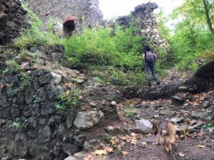 Ruiny zamku Cisy