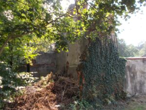 Ruiny starego młyna w Wawrzeńczycach