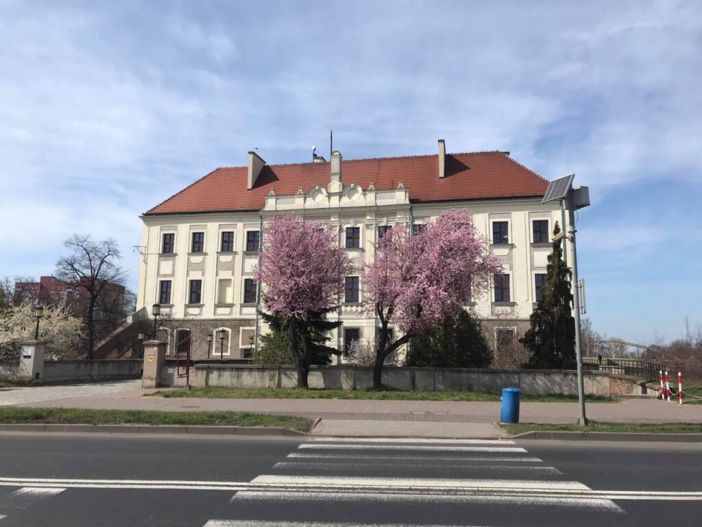 Zamek w Głogowie 