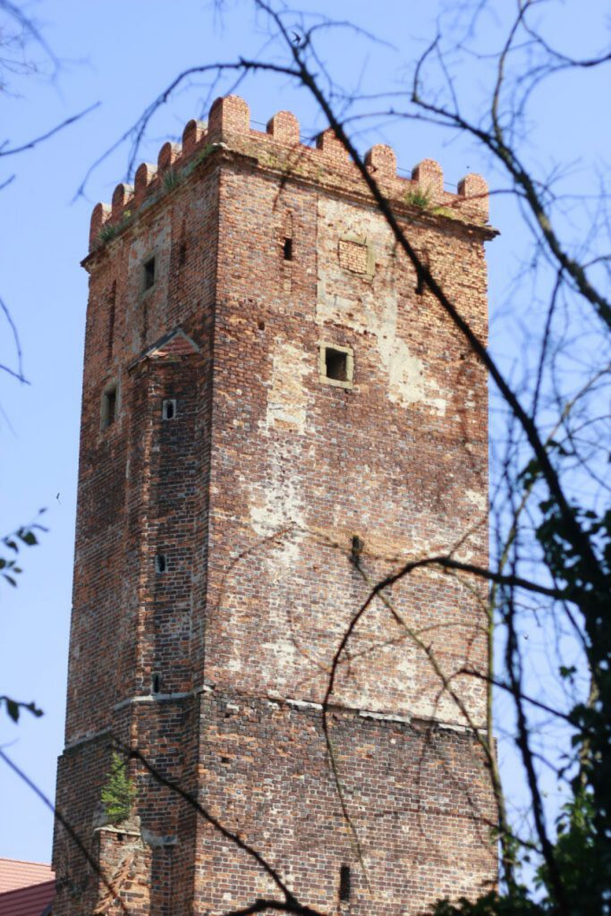 Wieża zamku w Prochowicach 