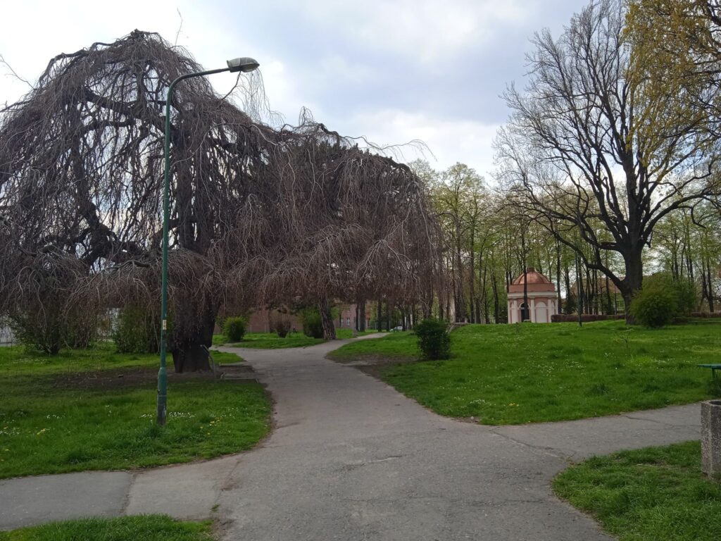 Park miłośników Dzierżoniowa 