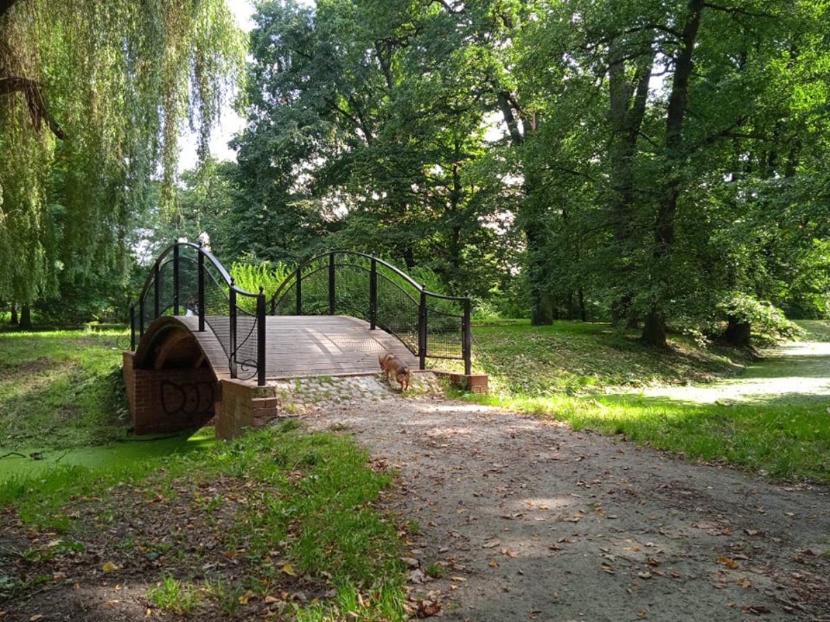 Park w Leśnicy
