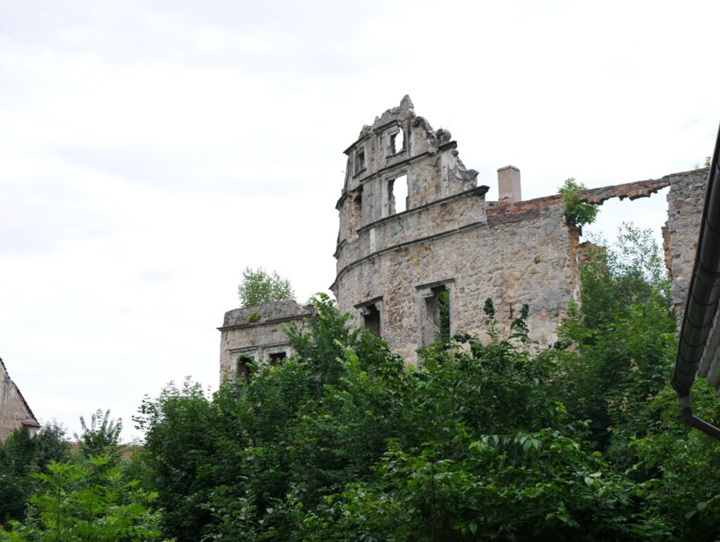 Zamek książęcy w Gościszowie 