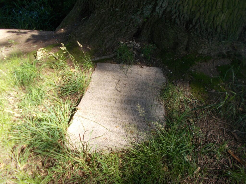 Kamienna płyta z inskrypcją. Park w Romnie 