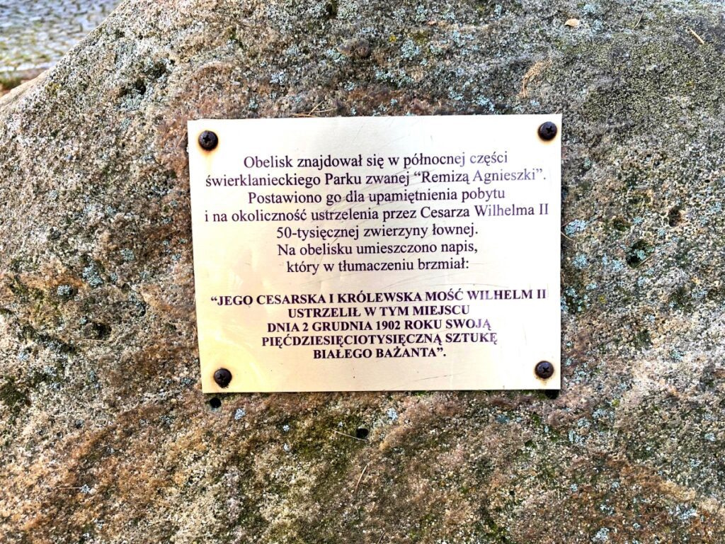 Pomnik historyczny w paku w Świerklańcu