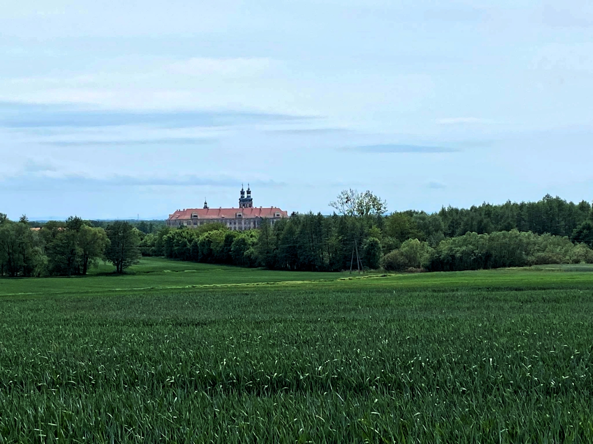 Klasztor cystersów w Lubiążu. Widok z Lasu Jadwigi. 