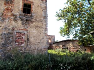 Ruina renesansowego dworu obronnego w Radzikowie.
