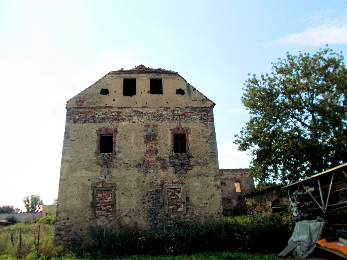 Ruina renesansowego dworu w Radzikowie. 