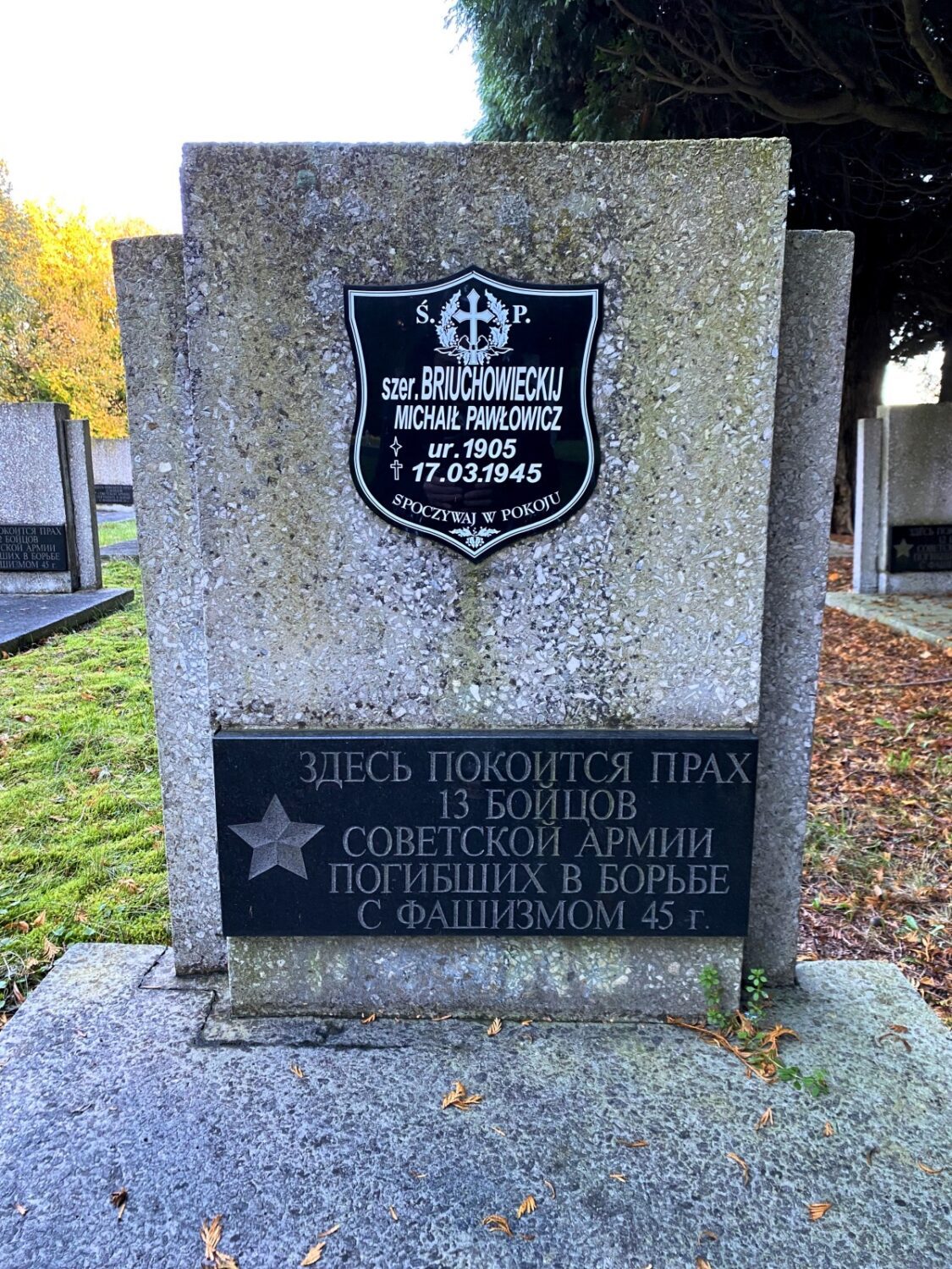 Cmentarz wojenny w Środzie Śląskiej. 