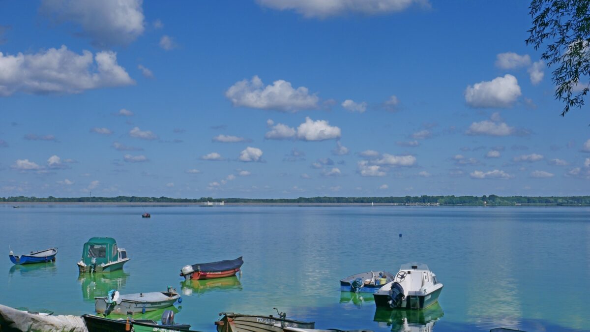 Jezioro Turawskie w sierpniowy poranek.