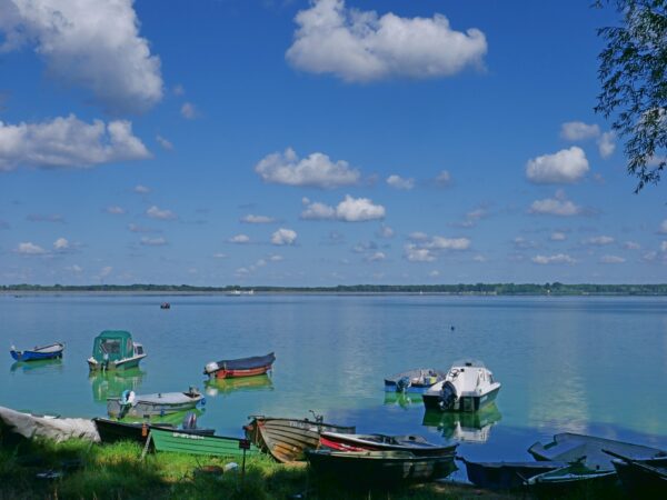 Jezioro Turawskie w sierpniowy poranek.