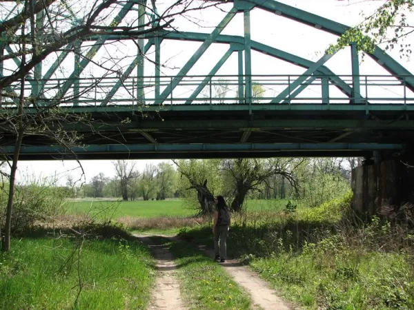 Most kolejowy w Ścinawie 