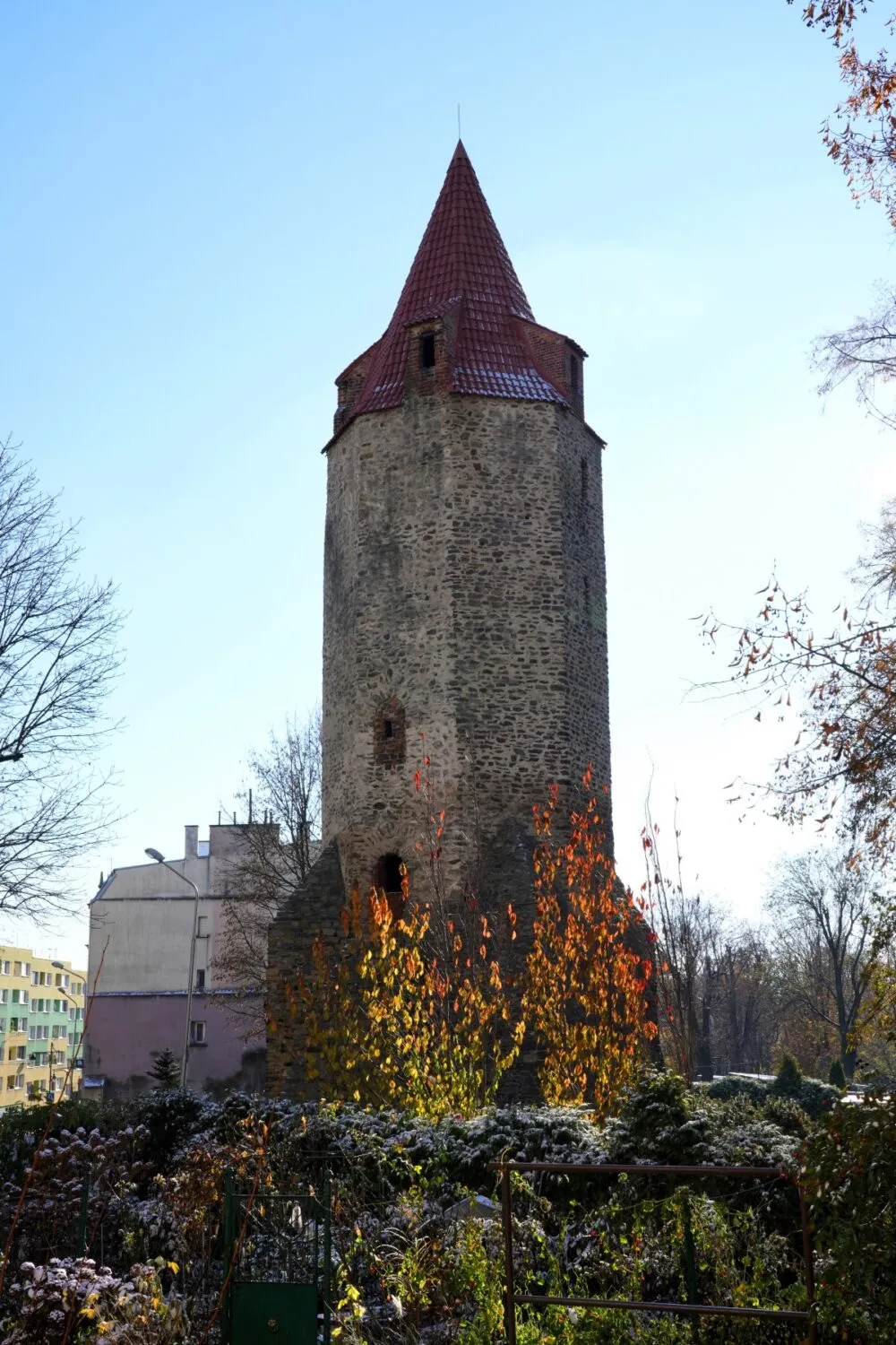 Wieża Dziobowa w Strzegomiu 